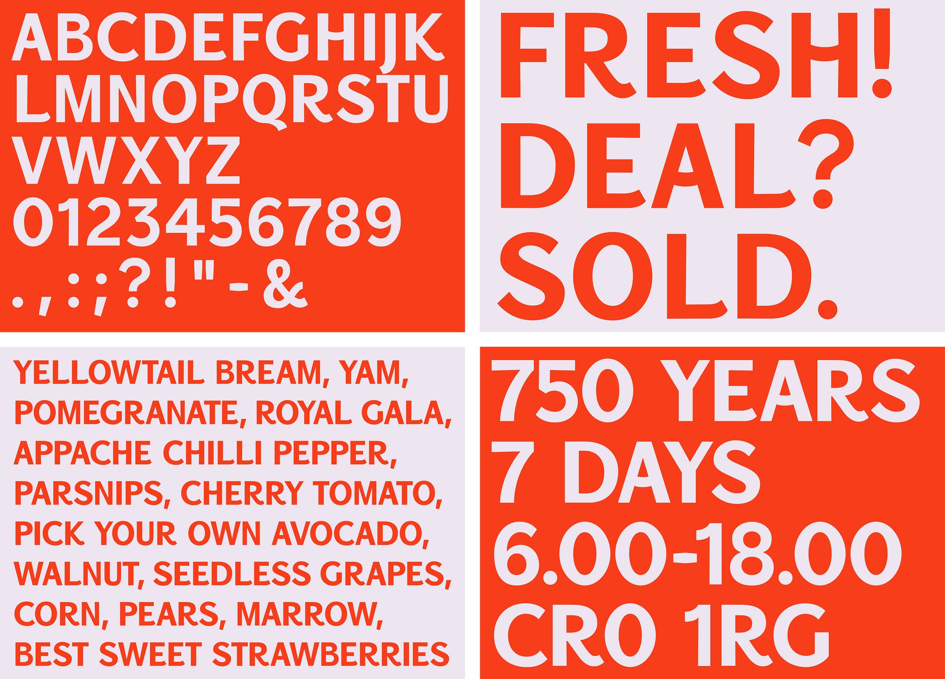 260605-ssm-typespec-grid-90385.jpg