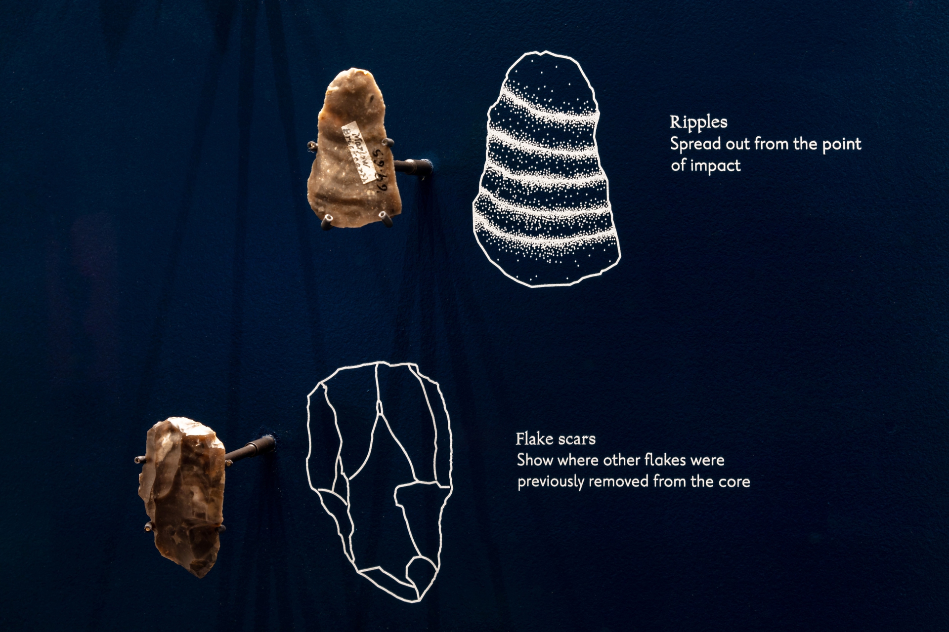 discoverbucks-geology-diagram2-97802.jpg