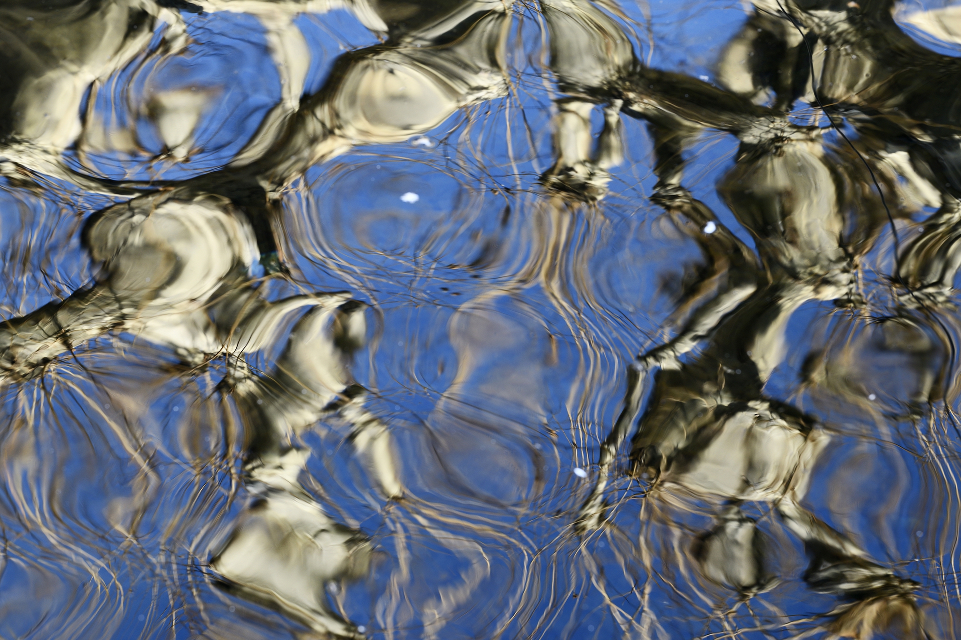 texture-1-77616.jpg